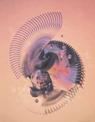 beeple网站精品栏目包装视频C4D动画源文件工程合集(图3)