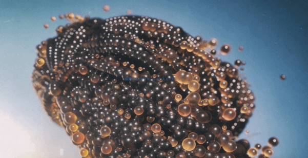 250套高级C4D工程源文件卷二(图2)