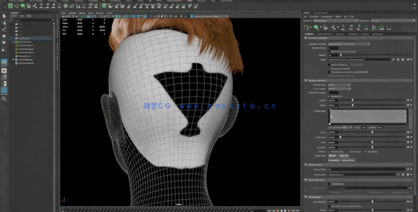Maya中XGen逼真人物头发制作视频教程(图3)