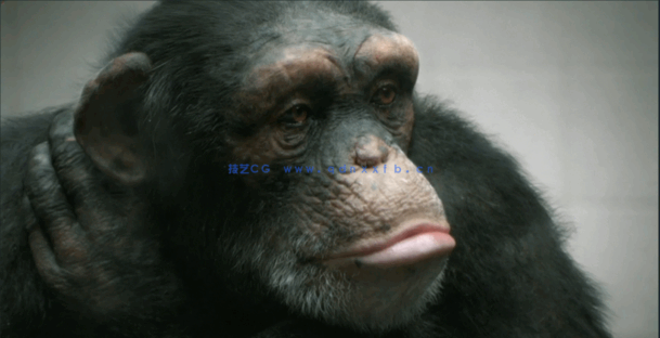 Maya中Arnold渲染器全面核心技术视频教程(图3)