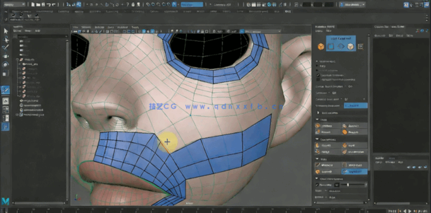 Maya面部绑定系统完整工作流程视频教程(图4)