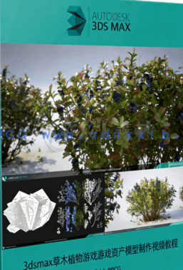 [3dsmax] 3dsmax草木植物游戏游戏资产模型制作视频教程(图1)