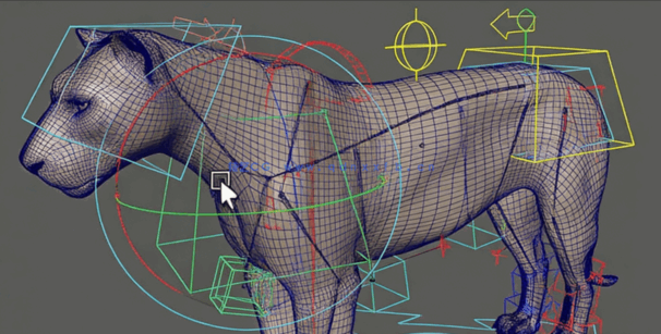 Maya猎豹四足动物骨骼绑定动画视频教程(图5)