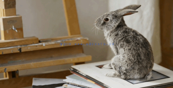 Maya中Yeti逼真动物毛发制作工作流程视频教程(图3)