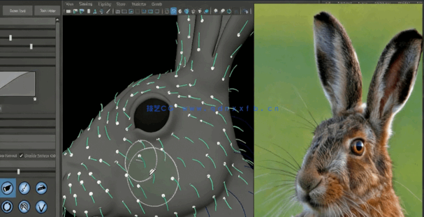 Maya中Yeti逼真动物毛发制作工作流程视频教程(图6)
