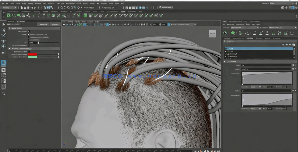  Maya中Xgen逼真人物角色面部与发型制作视频教程(图6)