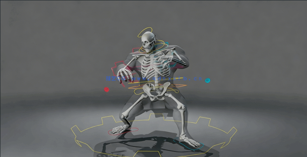  ZIVA Dynamics角色绑定动画大师级训练视频教程(图3)