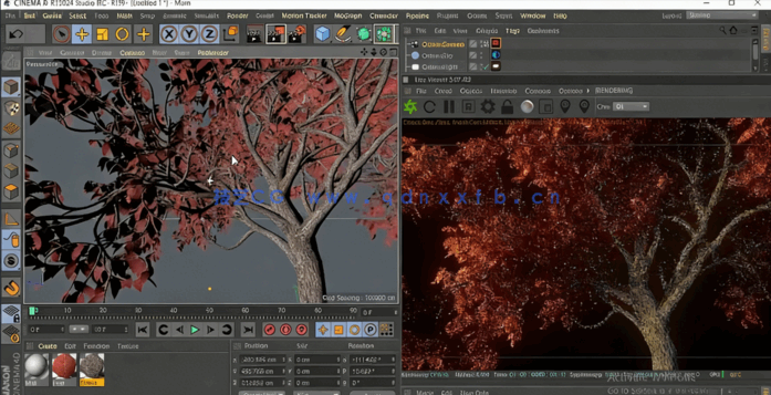 C4D与Octane逼真自然树场景实例制作视频教程(图5)