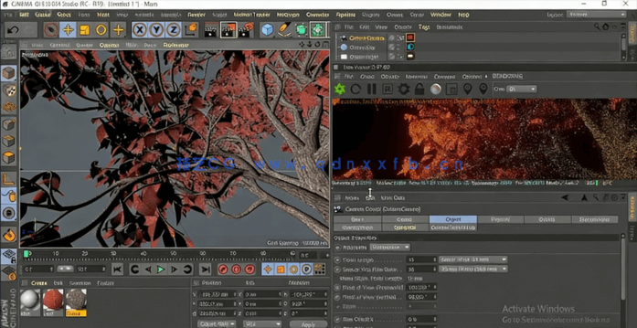 C4D与Octane逼真自然树场景实例制作视频教程(图6)