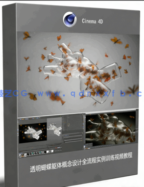 透明蝴蝶躯体概念设计全流程实例训练视频教程(图1)