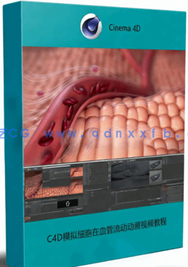 C4D模拟细胞在血管流动动画视频教程 (图1)
