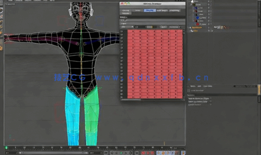 Cinema 4D角色重量变形工具使用技术视频教程(图3)