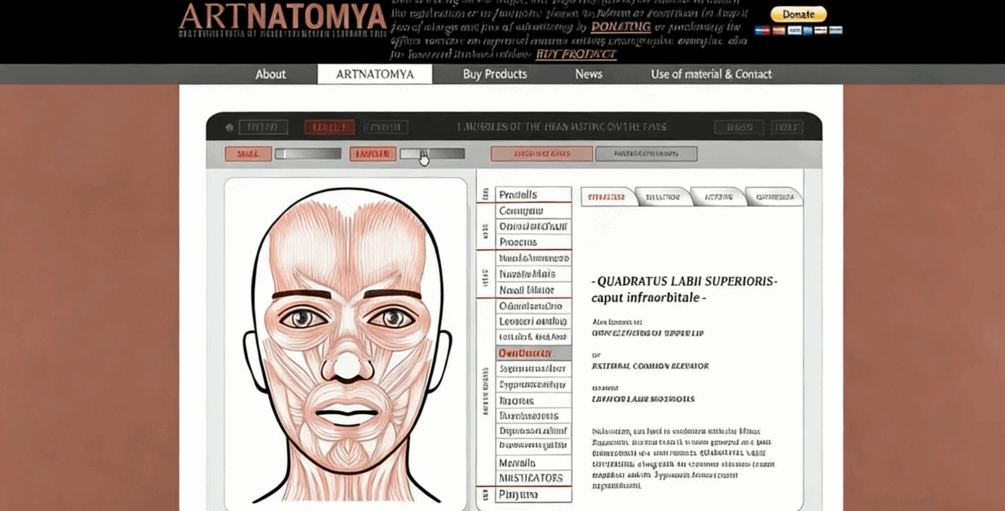 Maya三维角色的面部绑定动画视频教程(图3)