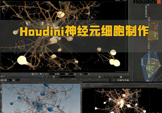 Houdini神经元细胞视觉特效制作视频教程(图1)