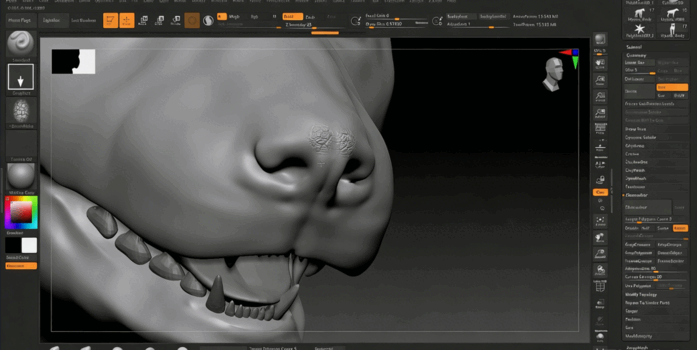 Houdini鬣狗生物毛发实例制作训练视频教程(图6)