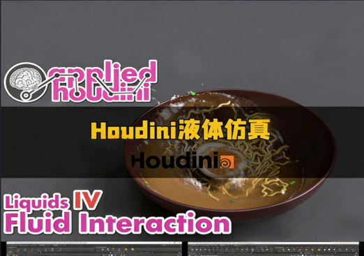 Houdini中Vellum Solver流体控制液体仿真技术视频教程(图6)