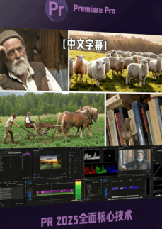 [Premiere Pro] 【中文字幕】Premiere Pro 2025全面核心技术训练视频教程(图1)