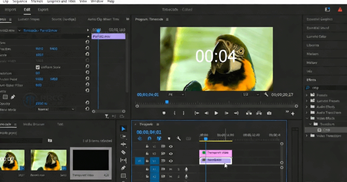 Premiere Pro视频编辑大师班课程视频教程(图3)