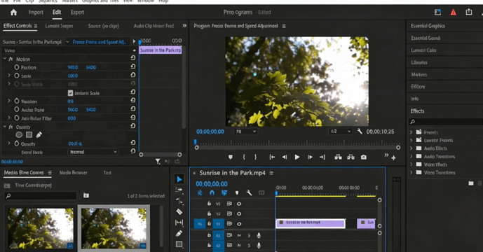 Premiere Pro视频编辑大师班课程视频教程(图4)