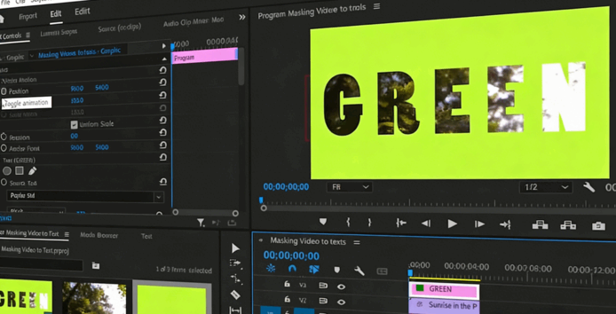 Premiere Pro视频编辑大师班课程视频教程(图5)