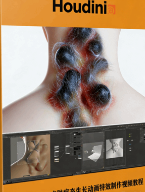Houdini皮肤病态生长动画特效实例制作视频教程 (图1)