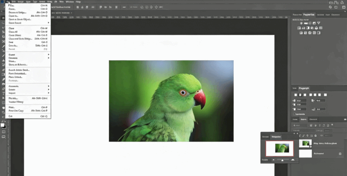  Adobe Photoshop CC从入门到精通完整训练视频教程(图4)