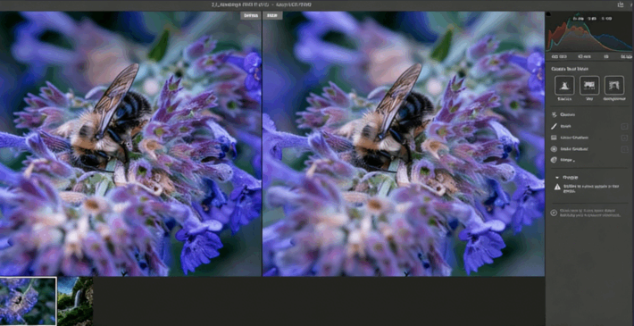 【中文字幕】Photoshop 2023选择工具使用技巧视频教程 (图4)