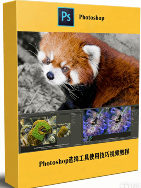 【中文字幕】Photoshop 2023选择工具使用技巧视频教程 (图1)
