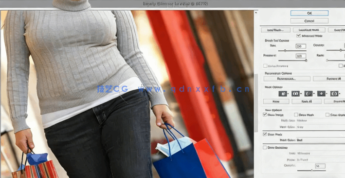 【中文字幕】Photoshop 2021一对一高级技能训练视频教程(图3)