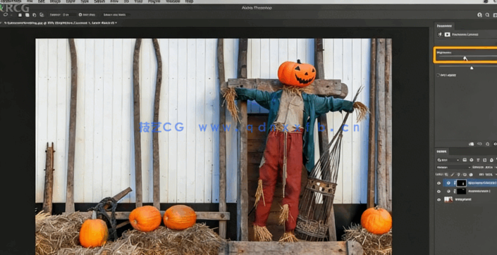 【中文字幕】Photoshop 2022全面核心技术训练视频教程(图2)