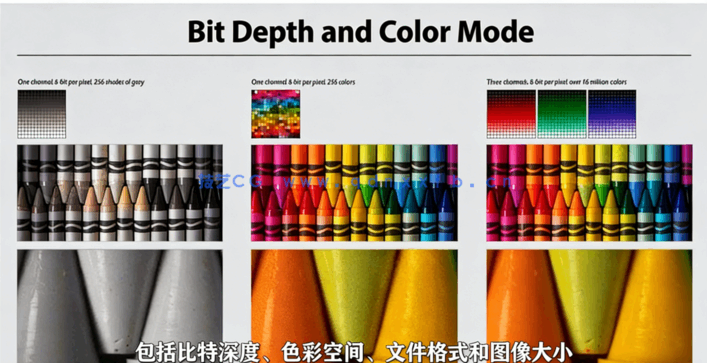 【中文字幕】Photoshop 2022全面核心技术训练视频教程(图5)