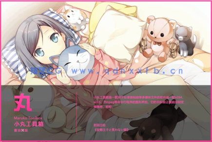 小丸视频压缩工具(图1)