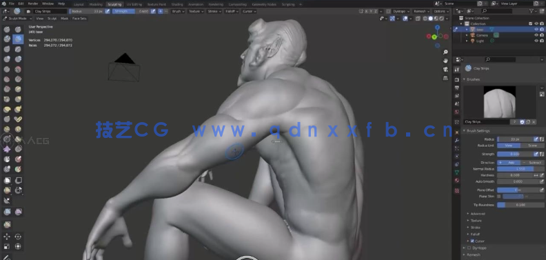Blender 3D人体结构解剖雕刻大师级训练视频教程(图3)