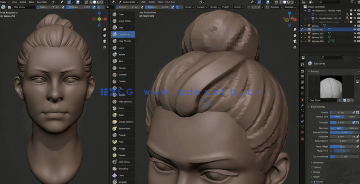Blender人物头部数字雕刻技术大师班视频教程(图2)