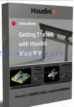 Houdini 18基础核心技能工作流程训练视频教程(图1)