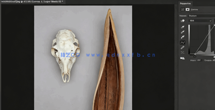 【中文字幕】Photoshop 2023全面核心技术训练视频教程 (图2)