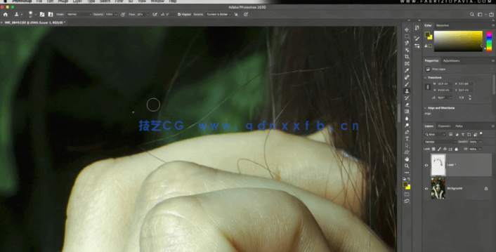 PS人像艺术照后期细节美化修饰处理视频教程(图2)