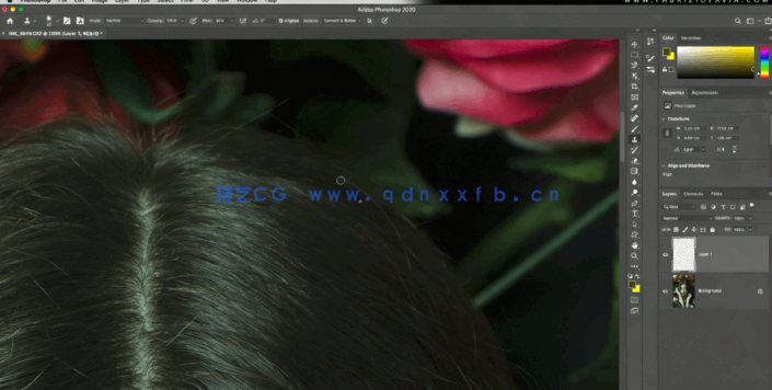 PS人像艺术照后期细节美化修饰处理视频教程(图4)