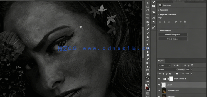  PS人像美肤修饰图像后期处理视频教程(图1)