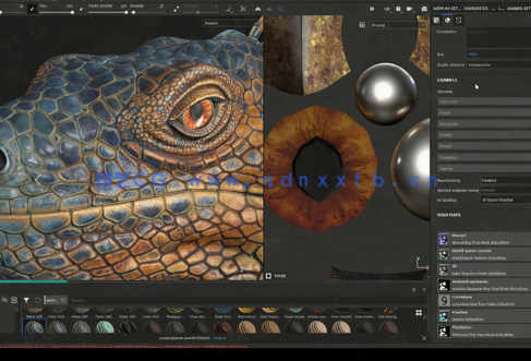 【中文字幕】Substance Painter蜥蜴纹理贴图完整制作工作流视频教程(图5)