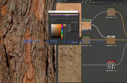 Substance Designer树皮材质实例制作视频教程(图2)