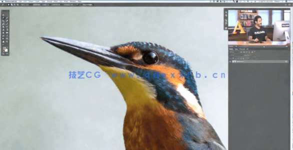 PS中使用磁性套索工具选取图像过程视频教程(图2)