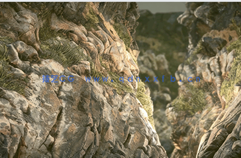 Substance Designer纹理制作核心要点视频教程(图4)