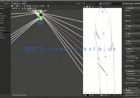 Substance Designer逼真羽毛PBR纹理实例制作视频教程(图5)