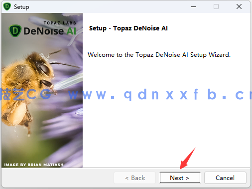 Topaz DeNoise AI  - 专业图像降噪软件下载(图4)