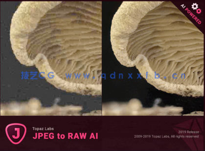 Topaz JPEG to RAW AI   JPEG格式转换为RAW格式软件(图1)