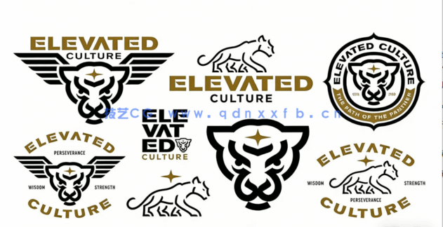 【中文字幕】IIIustator 品牌Logo标志视觉设计视频教程(图3)