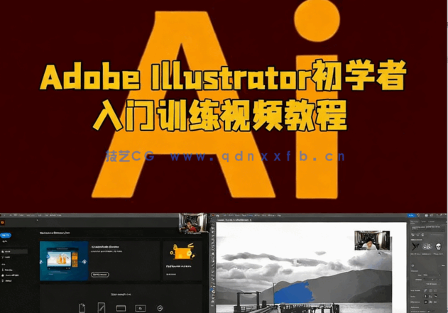 Adobe Illustrator初学者入门训练视频教程(图5)