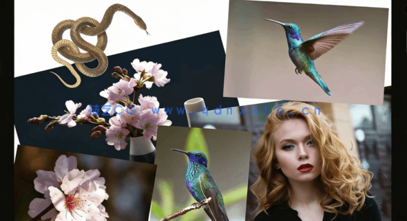 【中文字幕】PS创建素材拼贴数字效果创意海报视频教程(图3)