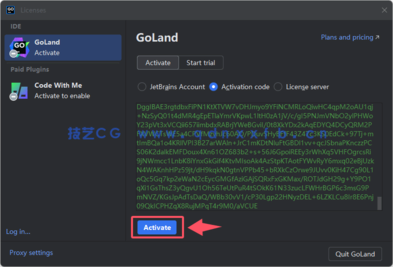 Goland - 专业的Go语言开发利器(图17)